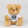 Bear in a t-shirt Thumbnail