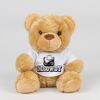Bear in a t-shirt Thumbnail